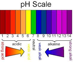 PH Levels in Water